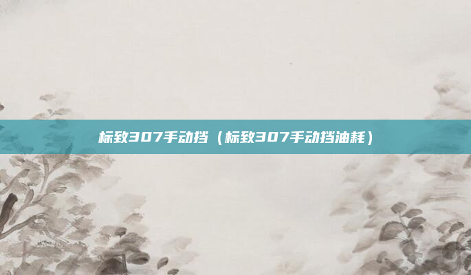 标致307手动挡(标致307手动挡油耗)