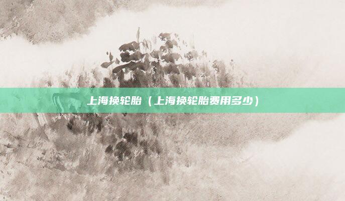 上海换轮胎(上海换轮胎费用多少)
