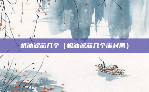 机油滤芯几个(机油滤芯几个密封圈)