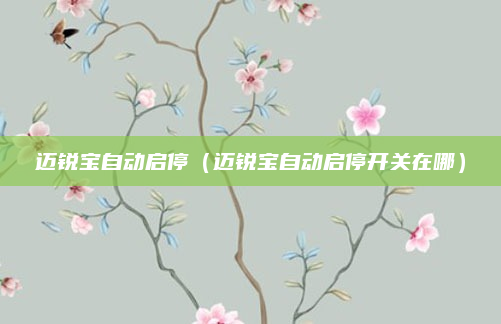 迈锐宝自动启停（迈锐宝自动启停开关在哪）