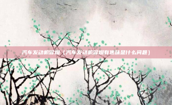 汽车发动机冒烟（汽车发动机冒烟有焦味是什么问题）