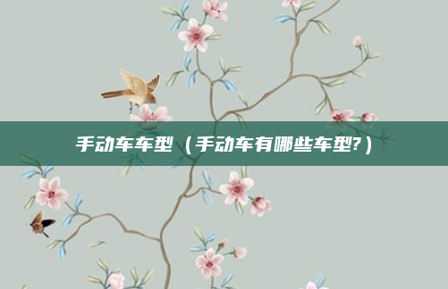 手动车车型（手动车有哪些车型?）