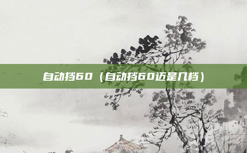 自动挡60（自动挡60迈是几档）