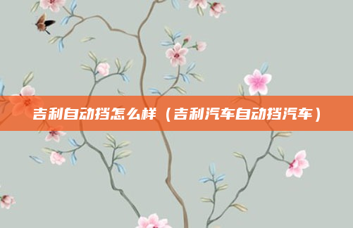 吉利自动挡怎么样(吉利汽车自动挡汽车)