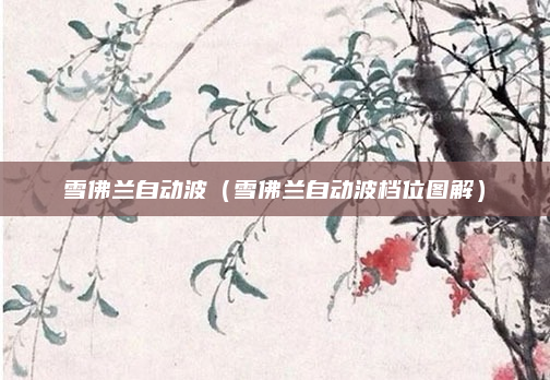 雪佛兰自动波（雪佛兰自动波档位图解）