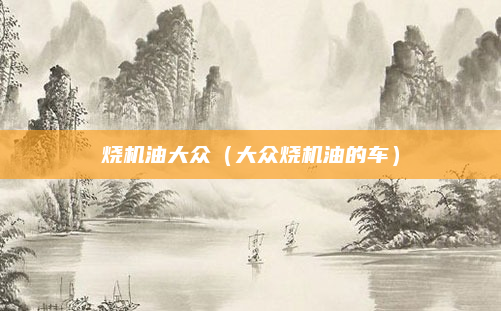 烧机油大众（大众烧机油的车）