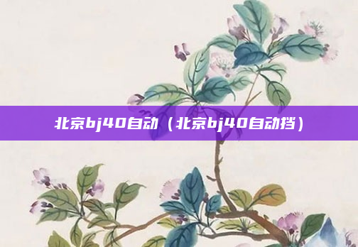 北京bj40自动(北京bj40自动挡)