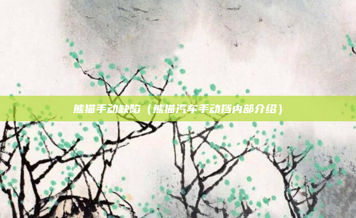 熊猫手动缺陷(熊猫汽车手动挡内部介绍)