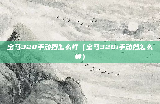 宝马320手动挡怎么样(宝马320i手动挡怎么样)