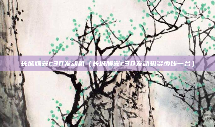 长城腾翼c30发动机（长城腾翼c30发动机多少钱一台）