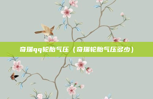 奇瑞qq轮胎气压(奇瑞轮胎气压多少)