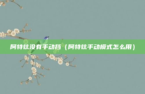 阿特兹没有手动挡（阿特兹手动模式怎么用）