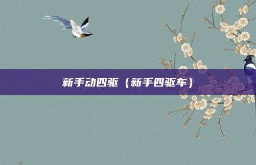 新手动四驱(新手四驱车)