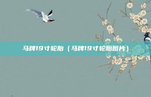 马牌19寸轮胎（马牌19寸轮胎图片）