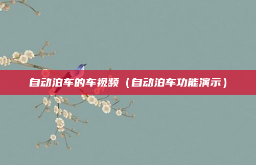 自动泊车的车视频(自动泊车功能演示)