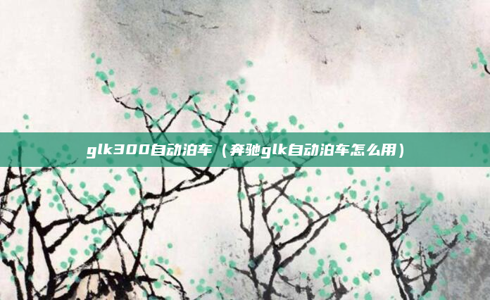 glk300自动泊车(奔驰glk自动泊车怎么用)