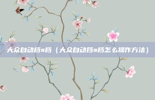 大众自动档s档(大众自动挡s档怎么操作方法)