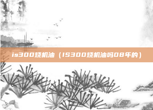 is300烧机油(IS300烧机油吗08年的)