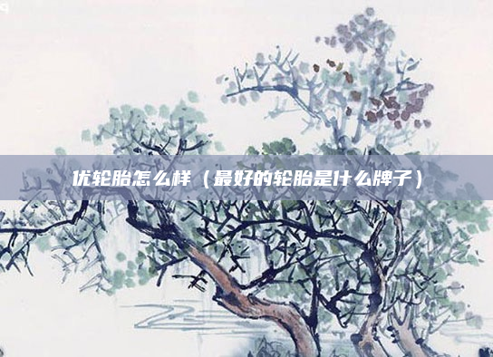 优轮胎怎么样(最好的轮胎是什么牌子)