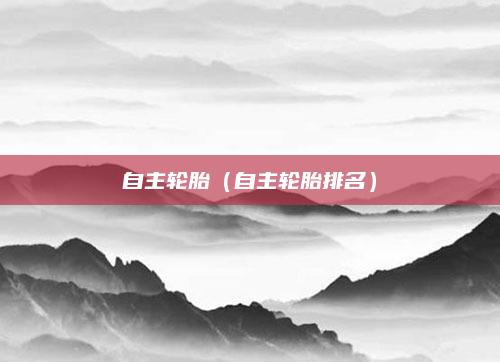 自主轮胎（自主轮胎排名）