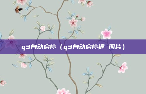 q3自动启停(q3自动启停键 图片)