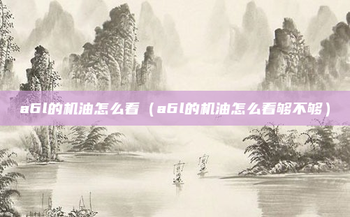 a6l的机油怎么看（a6l的机油怎么看够不够）