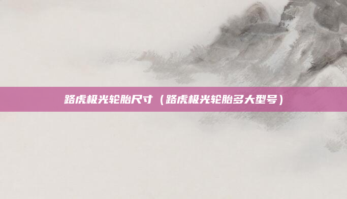 路虎极光轮胎尺寸(路虎极光轮胎多大型号)