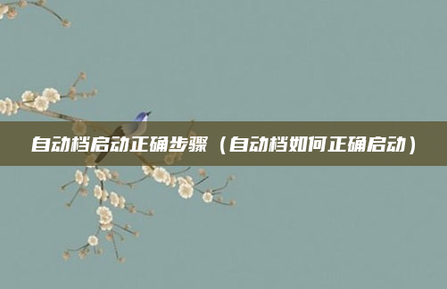 自动档启动正确步骤(自动档如何正确启动)