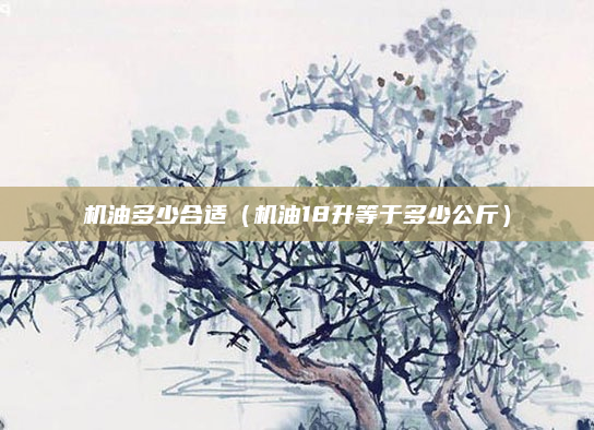 机油多少合适（机油18升等于多少公斤）