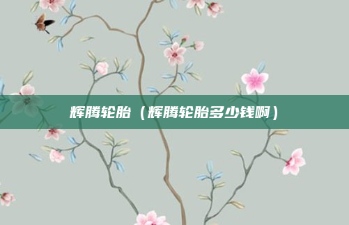 辉腾轮胎(辉腾轮胎多少钱啊)