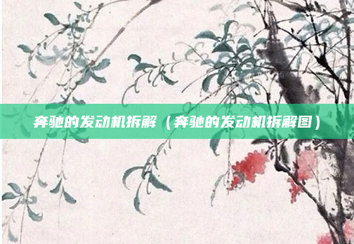 奔驰的发动机拆解（奔驰的发动机拆解图）