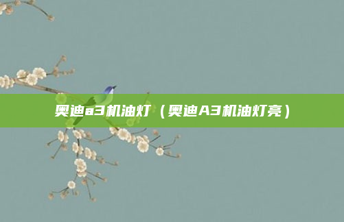 奥迪a3机油灯（奥迪A3机油灯亮）