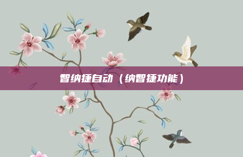 智纳捷自动（纳智捷功能）