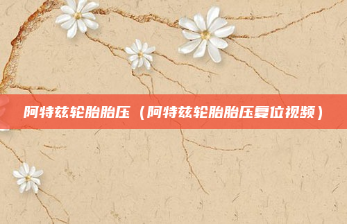 阿特兹轮胎胎压（阿特兹轮胎胎压复位视频）