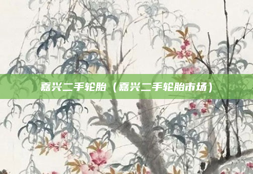 嘉兴二手轮胎(嘉兴二手轮胎市场)