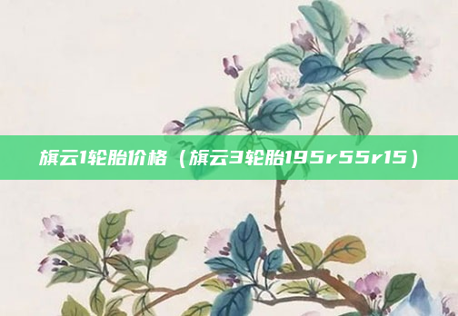 旗云1轮胎价格(旗云3轮胎195r55r15)