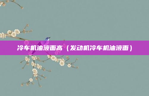 冷车机油液面高(发动机冷车机油液面)