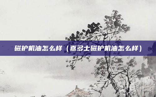 磁护机油怎么样(嘉多士磁护机油怎么样)