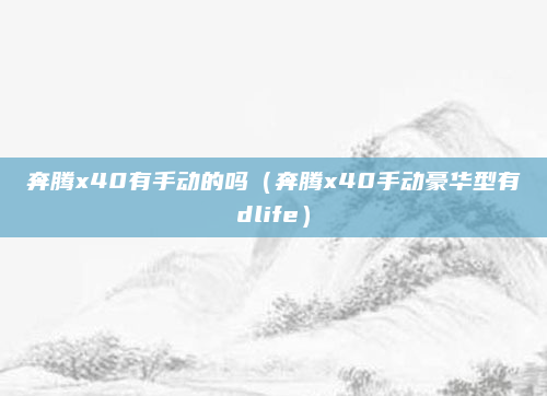 奔腾x40有手动的吗(奔腾x40手动豪华型有dlife)