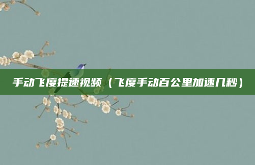 手动飞度提速视频(飞度手动百公里加速几秒)