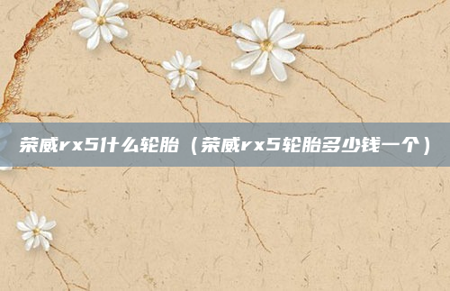 荣威rx5什么轮胎（荣威rx5轮胎多少钱一个）