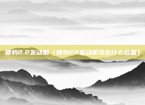 猎豹2.2发动机(猎豹22发动机号在什么位置)