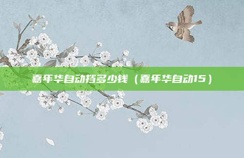 嘉年华自动挡多少钱（嘉年华自动15）