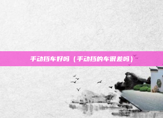 手动挡车好吗(手动挡的车很差吗)