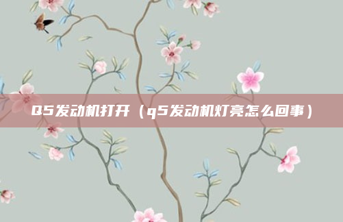 Q5发动机打开(q5发动机灯亮怎么回事)