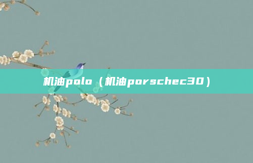 机油polo(机油porschec30)