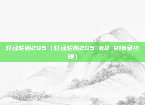 轩逸轮胎205(轩逸轮胎205 60 R16多少钱)