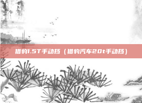 猎豹1.5T手动挡(猎豹汽车20t手动挡)