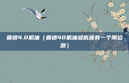 霸道4.0机油(霸道40机油滤底座有一个限位器)