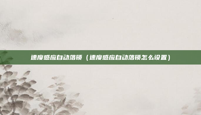 速度感应自动落锁(速度感应自动落锁怎么设置)